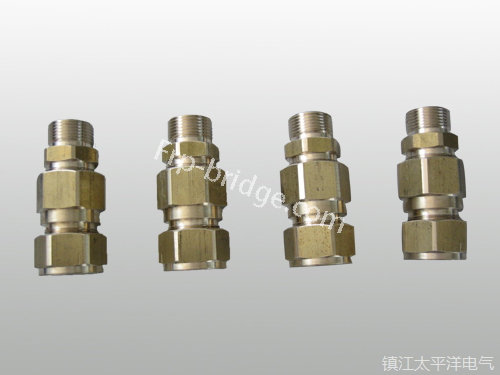 黃銅铠裝(zhuang)電纜密封接(jie)頭