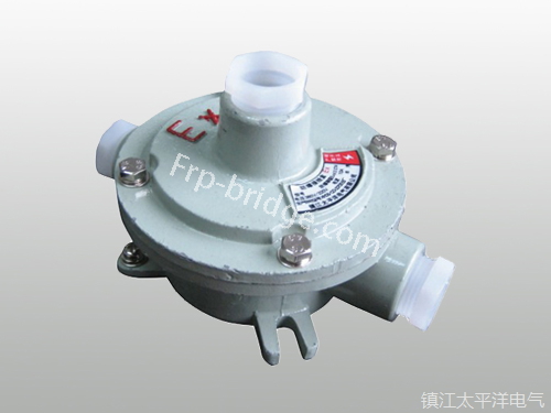 AH型(xíng)防爆接線盒二(èr)通吊